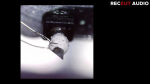 ABOUTCUTTING 08 zFOTO1